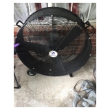 Fan