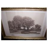 another great tinted photo