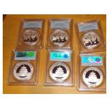 silver Panda coins