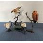 Bird's Song