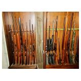 Fire Arms Collection