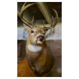 Many Large Vintage Mounts