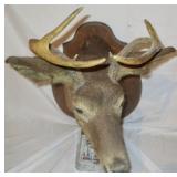 Deer Mount on Oak Plaque