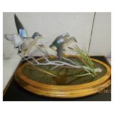 Ducks w/ Dome Removed
