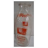 Delhi, NY Milk Bottle