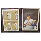 Fleer Ted Williams Cards