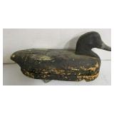 Duck Decoy