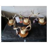 4 antler mounts