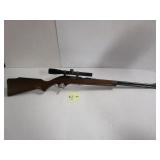 Marlin 22 LR w/Bushnell 4 x 20
