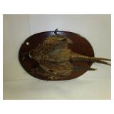 Mounted Fowl