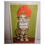 Catskills Cat Postcard