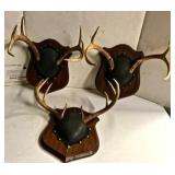 3 Sets of Mounted Antlers