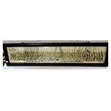 Panoramic Military Photo