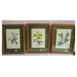 framed floral prints
