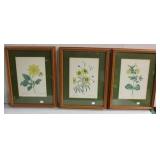 framed floral prints