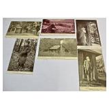 John Burroughs Postcards