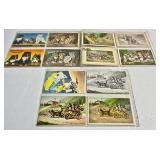 Catskill Cats Postcards