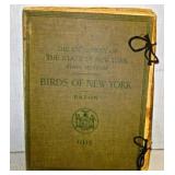 Birds Of New York State