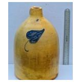 2 Gallon w/ Heart Shaped Leaf