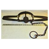 Triumph Hig Grip 415 X Trap