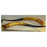 Pair of Large Horns