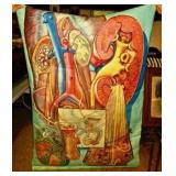 Mid Century Medical Chart