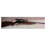 22 Ga. Long Rifle