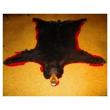 Bear Skin Rug