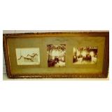 Industrial Pictures of Grain Mill