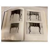 Wallace Nutting Illustrations