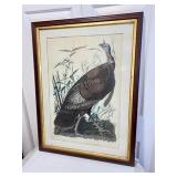 Framed Turkey Print