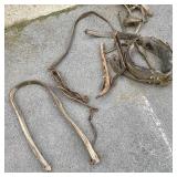 Vintage Horse Tack