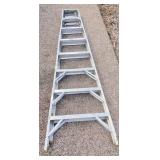 Werner Step Ladder