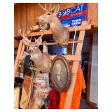 Deer Heads & Oval framed Picture