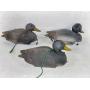 Working Duck Decoys