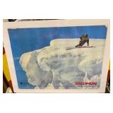 Ski poster