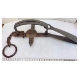 Newhouse #6 Bear Trap (as found)