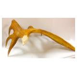 Eagle Carved Antler