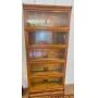 5 Section Globe/Wernicke Bookcase