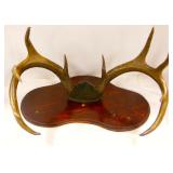 vintage antlers 