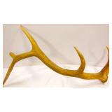 large antler