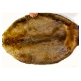 Beaver pelts