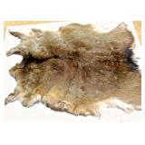 spotted deer pelt