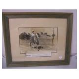 Roy Rogers & Trigger pictures