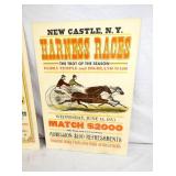 VIEW 2 RACES NEW CASTLE NY 