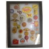 NAVY, BUGLER, PRINCE ALBERT TAGS 