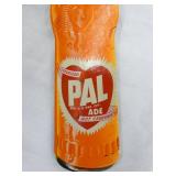 VIEW 3 2X9 PAL ADE LIGHT PULL