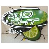 VIEW 2 CLOSEUP 31X19