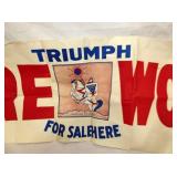 VIEW 3 TRIUMPH FIRE WORKS