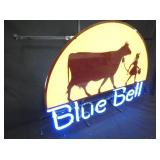 VIEW 3 ADV. STORE NEON SIGN